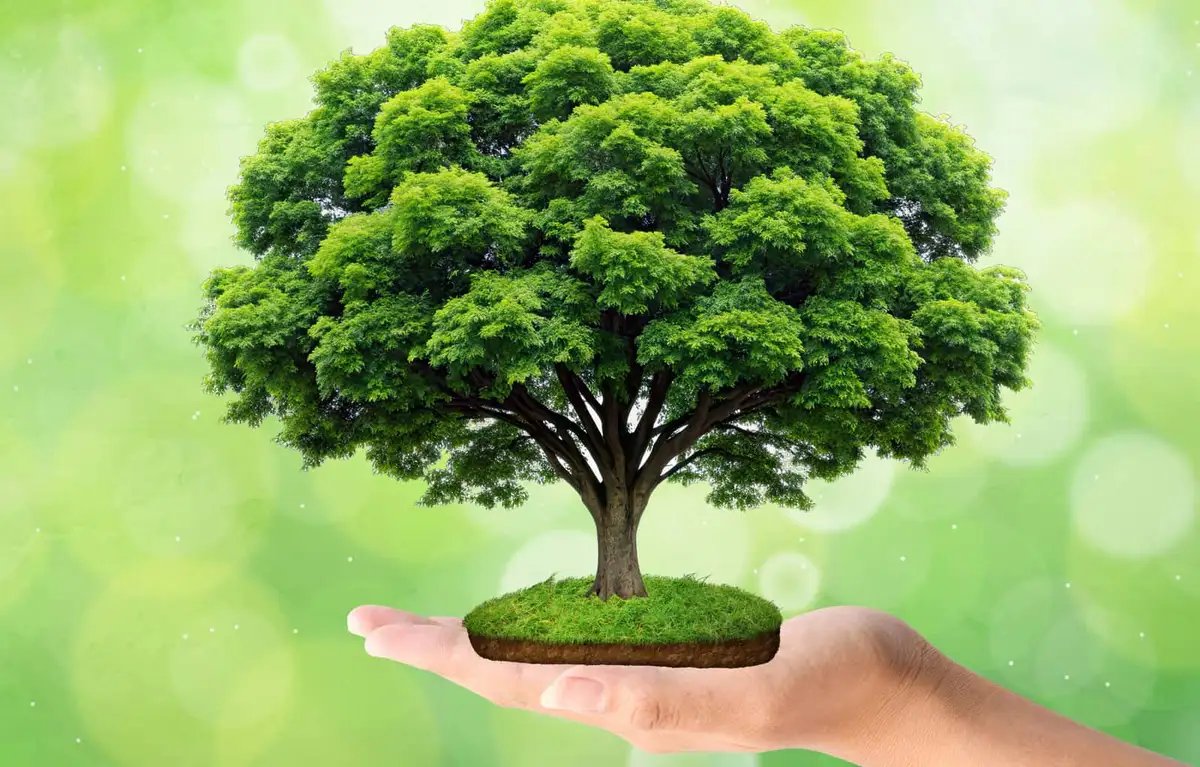 Kisan Plant Technologies